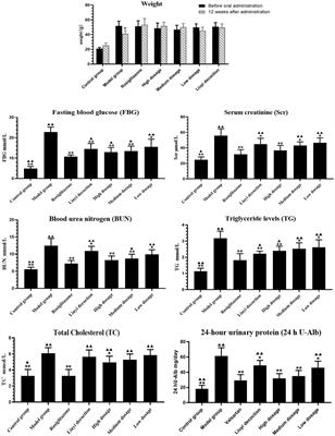Effects of Huangqi Liuyi Decoction in the Treatment of Diabetic Nephropathy and Tissue Distribution Difference of its Six Active Constituents Between Normal and Diabetic Nephropathy Mouse Models